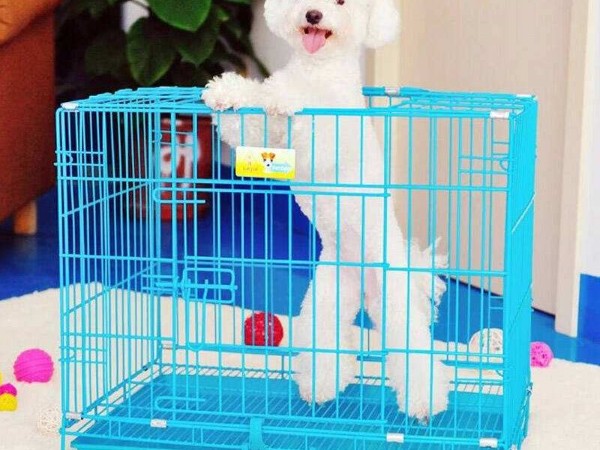 src=http___m.360buyimg.com_n12_jfs_t151_199_2297689569_185119_1c9c14c1_53c9ebaeN0ce7374b.jpg!q70.jpg&refer=http___m.360buyimg